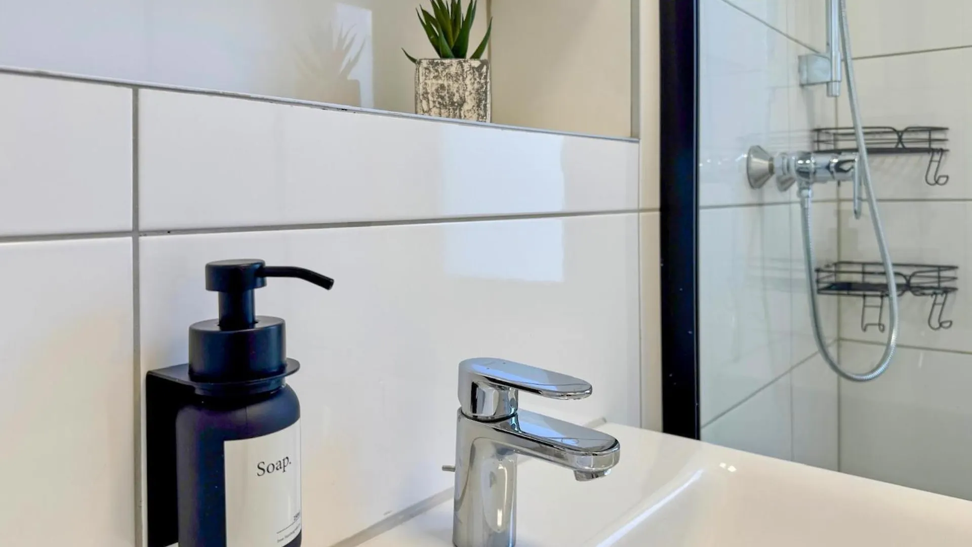 Zentrale Ruhige 3 Zimmer Wohnung Zum Wohlfuehlen Basel Apartment
