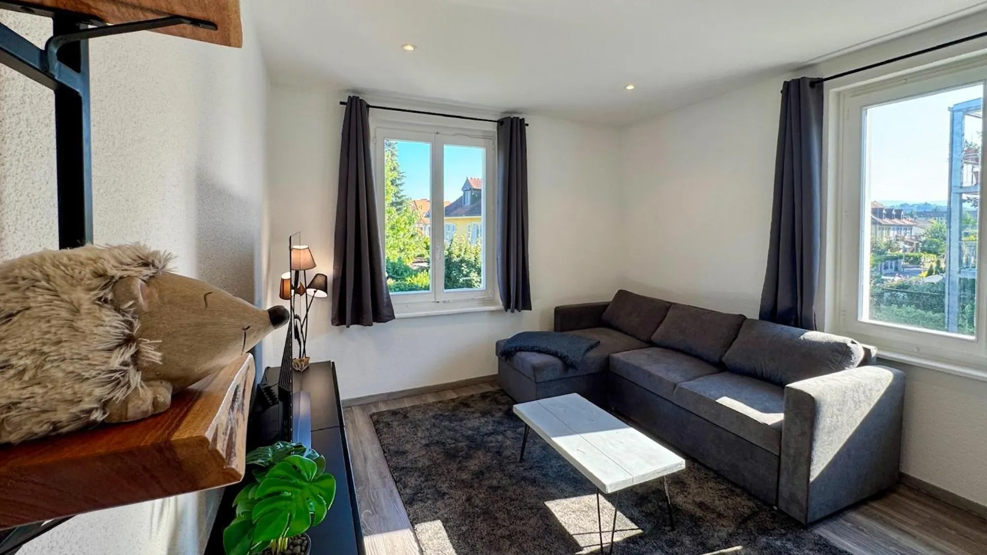 Zentrale Ruhige 3 Zimmer Wohnung Zum Wohlfuehlen Basel Apartment